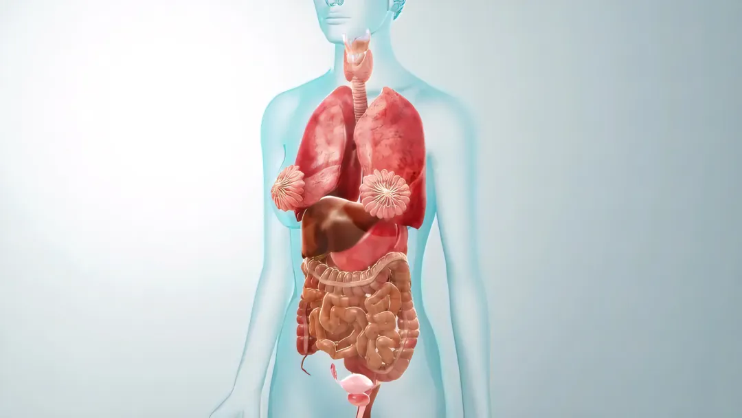 中医眼中的多囊卵巢综合征 中医眼中的多囊卵巢综合征
